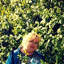 ���� ������, ������ - ��������� 5 ��� 2022 � ������ ���� ����������