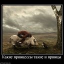 ���� Vell, ������ - ��������� 11 ������� 2022 � ������ ���� ����������