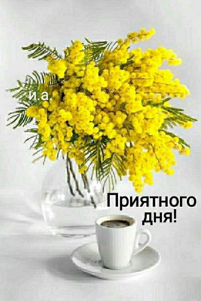  ,    . - 15  2022  12:20 - 4
