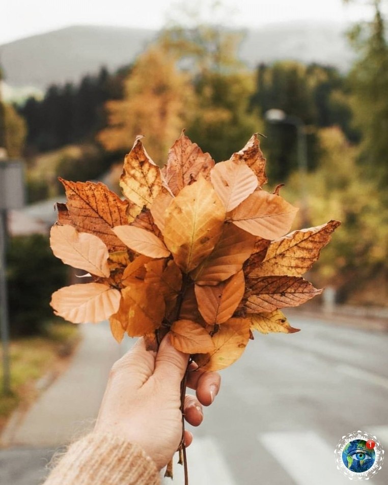 ce, oa, caoe pacoe pe oa.    - 3