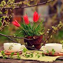 ���� ����, ���� - ��������� 5 ��� 2022 � ������ ���� ����������