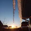 ���� ������, �������, 49 ��� - ��������� 21 ����� 2022 � ������ ���� ����������