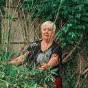  , - -  30  2022   18  2022