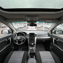 ���� ���, �����������, 31 ��� - ��������� 8 ������� 2022