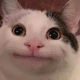 , , 29 