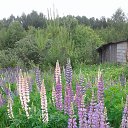 ���� ����, �����, 50 ��� - ��������� 29 ��� 2022 � ������ ������ ��������