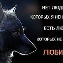 ���� ������, ��������, 50 ��� - ��������� 21 ������ 2022 � ������ ���� ����������