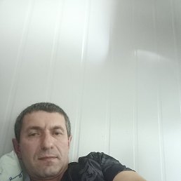 , 46 , 