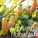 ���� ����, �����������, 56 ��� - ��������� 19 ������ 2023 � ������ ���� ����������