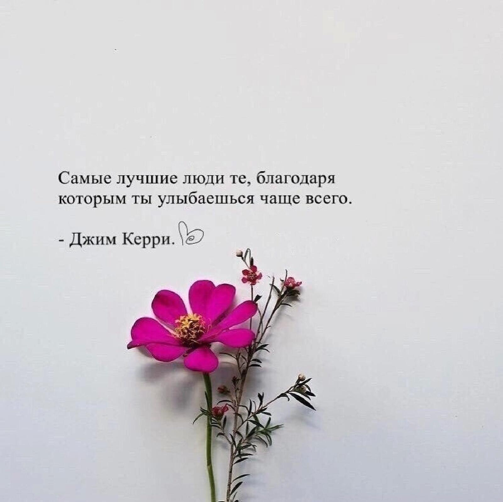 ***Victoria Viktorovna*** - 8  2022  04:32