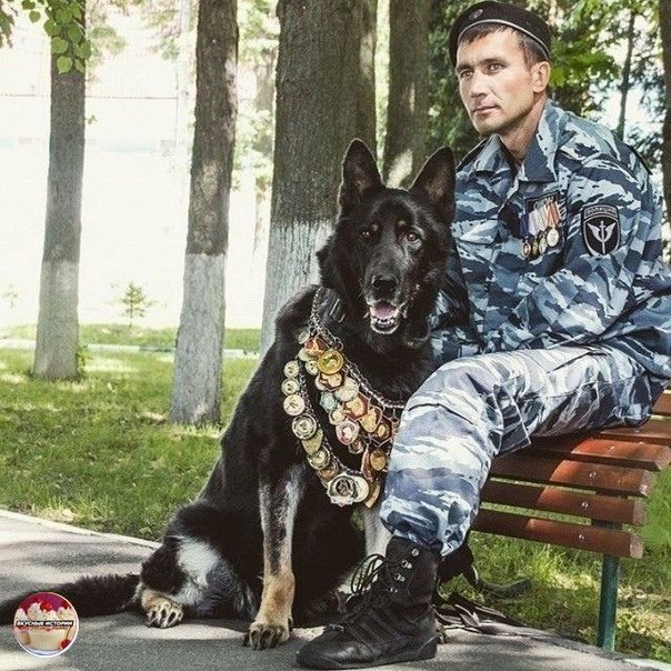 ........... В палате умирает офицер, Врачи снуют и шепчутся растерянно, Решение: принятье срочных ...