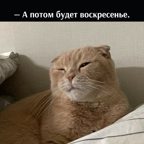       - 29  2022  19:48 - 4