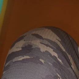 ����, ������, 53 ����