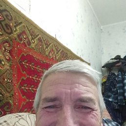 , 65 , 