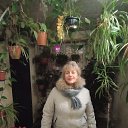 ���� �������, �����-���������, 52 ���� - ��������� 23 ������ 2023 � ������ ���� ����������