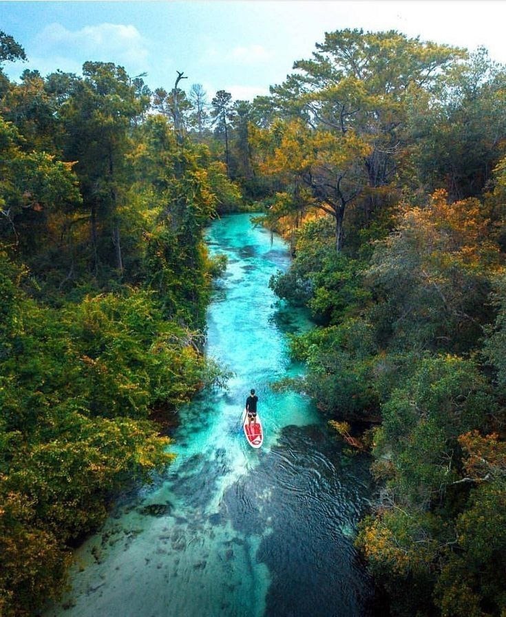  , ,  Weeki Wachee Springs.Weeki Wachee Springs -   ,   ... - 3