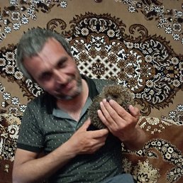 �����, �������, 43 ����