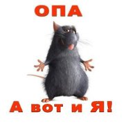 , 44 , 