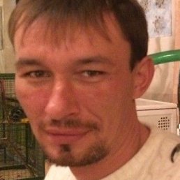 ����, ������������, 43 ����