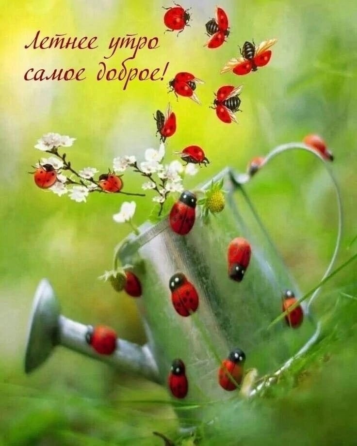   ,    . - 16  2022  22:49