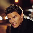 David Boreanaz Bones