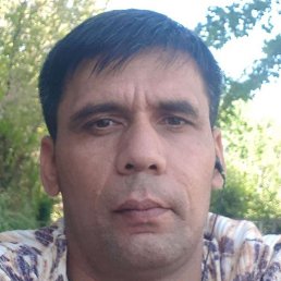 ������, �������, 43 ����