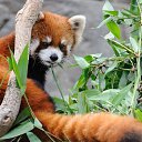 ���� �������, ����-���, 50 ��� - ��������� 20 ������ 2023