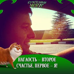 ���� Max, �����������, 36 ��� - ��������� 3 ������� 2023