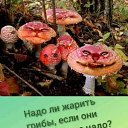 ���� ���������, �������, 63 ���� - ��������� 10 ���� 2022 � ������ ������ ��������