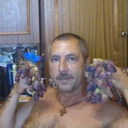 ����, ���������