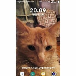 ������, ������, 48 ���