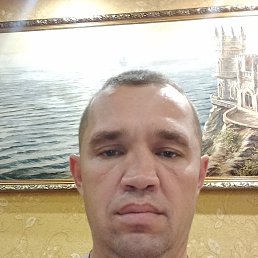 ���� ����, ������, 43 ���� - ��������� 4 �������� 2022