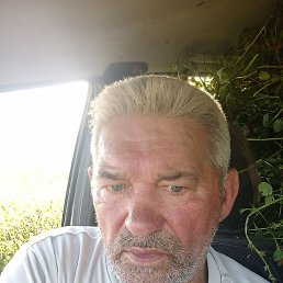 ���, ������, 37 ���