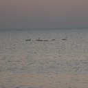 ���� ��������, �������������, 60 ��� - ��������� 5 ������� 2022