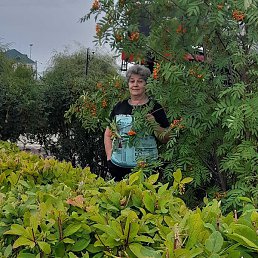 �����, ����������, 67 ���