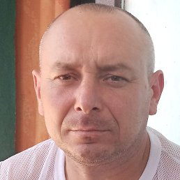 ������, ���������, 46 ���