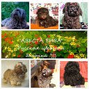 ���� ����, �����-��������� - ��������� 16 ������ 2022 � ������ ������ ��������