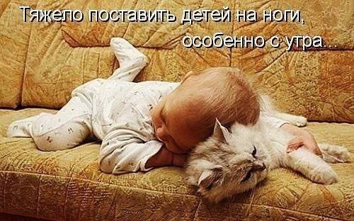 Эти забавные животные - 23 марта 2022 в 02:20