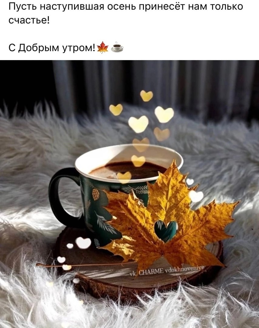  - 8  2022  11:38