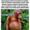 ���� ���� ����, ������ ��������, 62 ���� - ��������� 10 ������� 2022 � ������ ���� ����������
