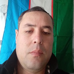 ������, ������, 41 ���