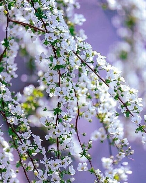 � ���� �����.. � ���� ������� ����� ������.. � �� �� �������� ��������� �����.. � ��� ...