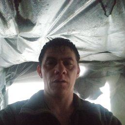 ���� ���, �����������, 41 ��� - ��������� 19 ������ 2023