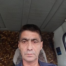 , 52 , 