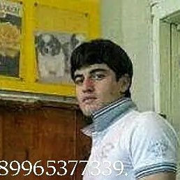 ����, ���������, 29 ���