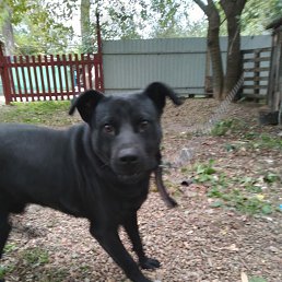 ���� �������, �����-���������, 45 ��� - ��������� 6 ������� 2023