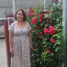 ���� �������, ������� �����, 54 ���� - ��������� 12 ������� 2022