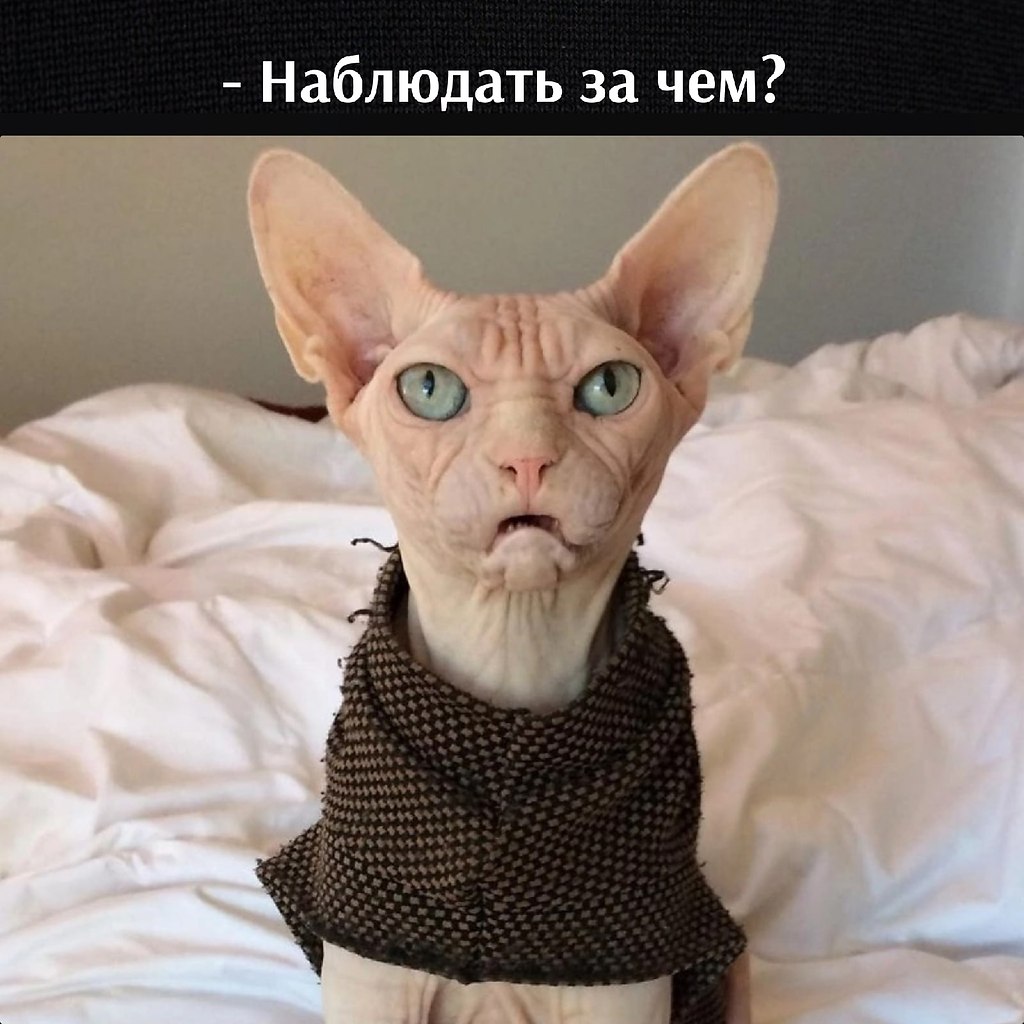      - 9  2023  11:37 - 3