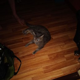 ���� �����, ������, 53 ���� - ��������� 30 ������ 2023