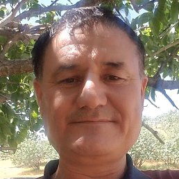 Azat., , 51 